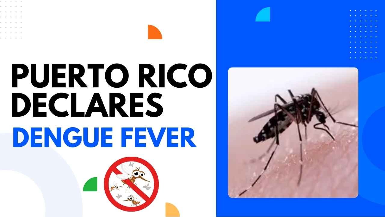 Puerto Rico Declares Dengue Fever